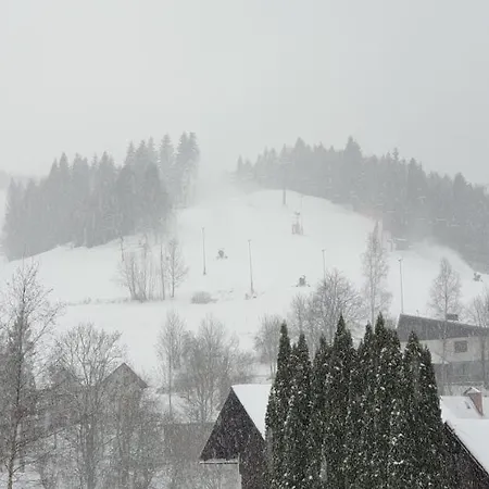 Bed & Breakfast Barrettski Wisła