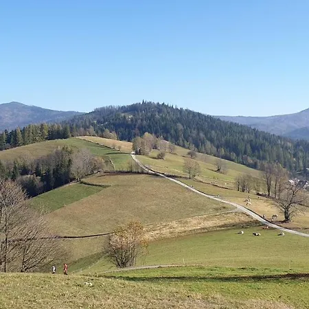 Barrettski 3* Wisła