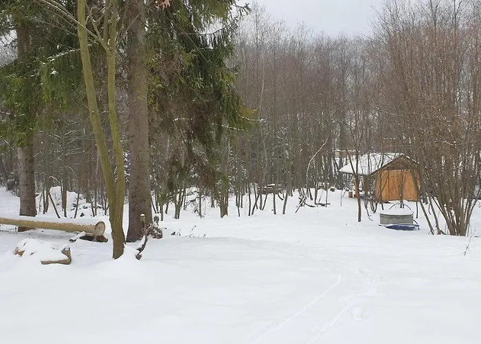 Barrettski Bed & Breakfast